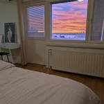 Beautiful With Seaview! 7th Floor Free Parking! 公寓