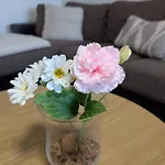 Apartment Beautiful With Seaview! 7th Floor Free Parking!