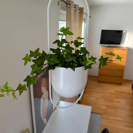 Beautiful With Seaview! 7th Floor Free Parking! Κέμι