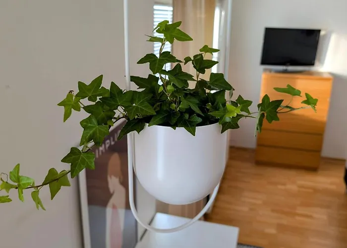 Beautiful With Seaview! 7th Floor Free Parking! Кеми